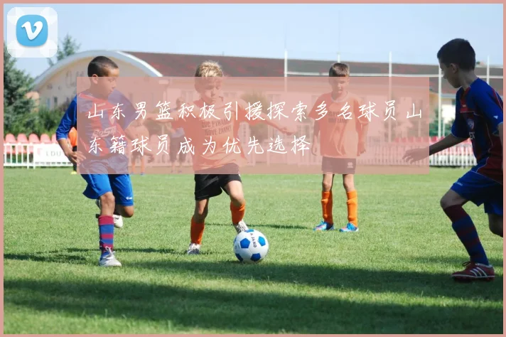 山东男篮积极引援探索多名球员山东籍球员成为优先选择