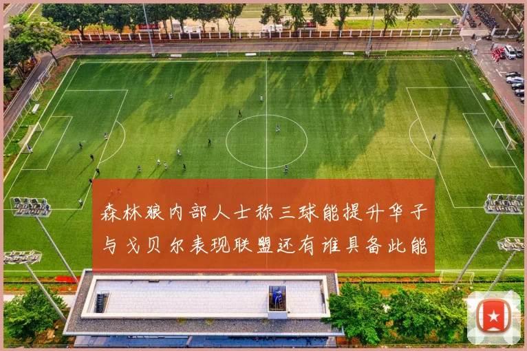 森林狼内部人士称三球能提升华子与戈贝尔表现联盟还有谁具备此能力