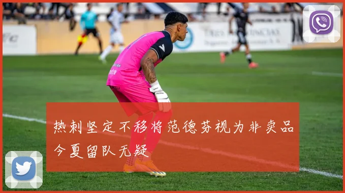 热刺坚定不移将范德芬视为非卖品今夏留队无疑